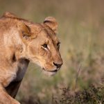 亚洲欧美日韩国产综合点此进入 25igndzshf