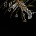 日本漫画大全乌全彩漫 6pnmu80