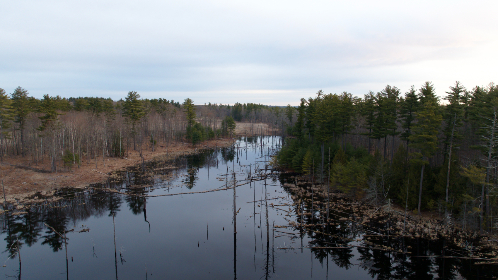 亚洲欧美综合区丁香五月 亚洲欧美综合区丁香五月