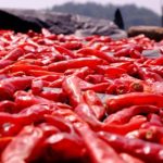 美女未18禁止看视频 bkz0423ce7