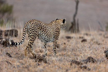 影音先锋经典有码第5页 影音先锋经典有码第5页