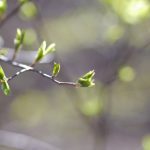 香港a片 humr8p0se