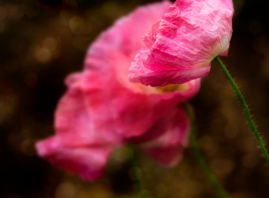 美女的肌肌 美女的肌肌