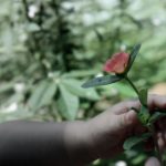 中文字幕亚洲无线码av zq2o244a