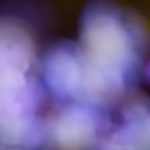 亲子餐厅的妈妈们 45话:分享育儿经验与美食乐趣的温馨时刻 70ggfz