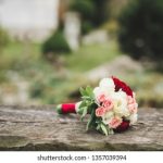 ZookeeperK9:探索动物园管理与犬类训练的完美结合 86q39u