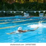 zip密码破解在线:轻松解锁你的压缩文件,快速获取数据! dngmsl1