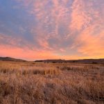 亲子餐厅韩漫未删减:温馨家庭时光的完美选择 g6b9y