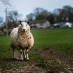 亲子餐厅的妈妈们轻松享受,无需阅读币的快乐时光 t32qjsh